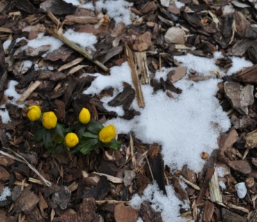 Loučení s paní Zimou 18.3.2018