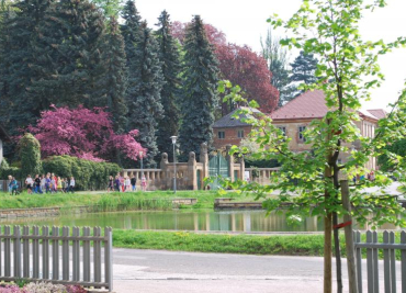 vyhledáno: škvrnová