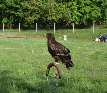 Lesní ekosystém v MŠ a ZŠ Chodovice 30.4.2018