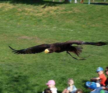 Lesní ekosystém v MŠ a ZŠ Chodovice 30.4.2018