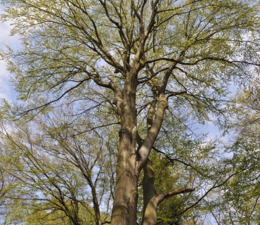 Archeologická vycházka 29.4.2017