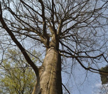 Archeologická vycházka 29.4.2017