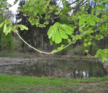 Archeologická vycházka 29.4.2017