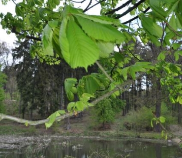 Archeologická vycházka 29.4.2017